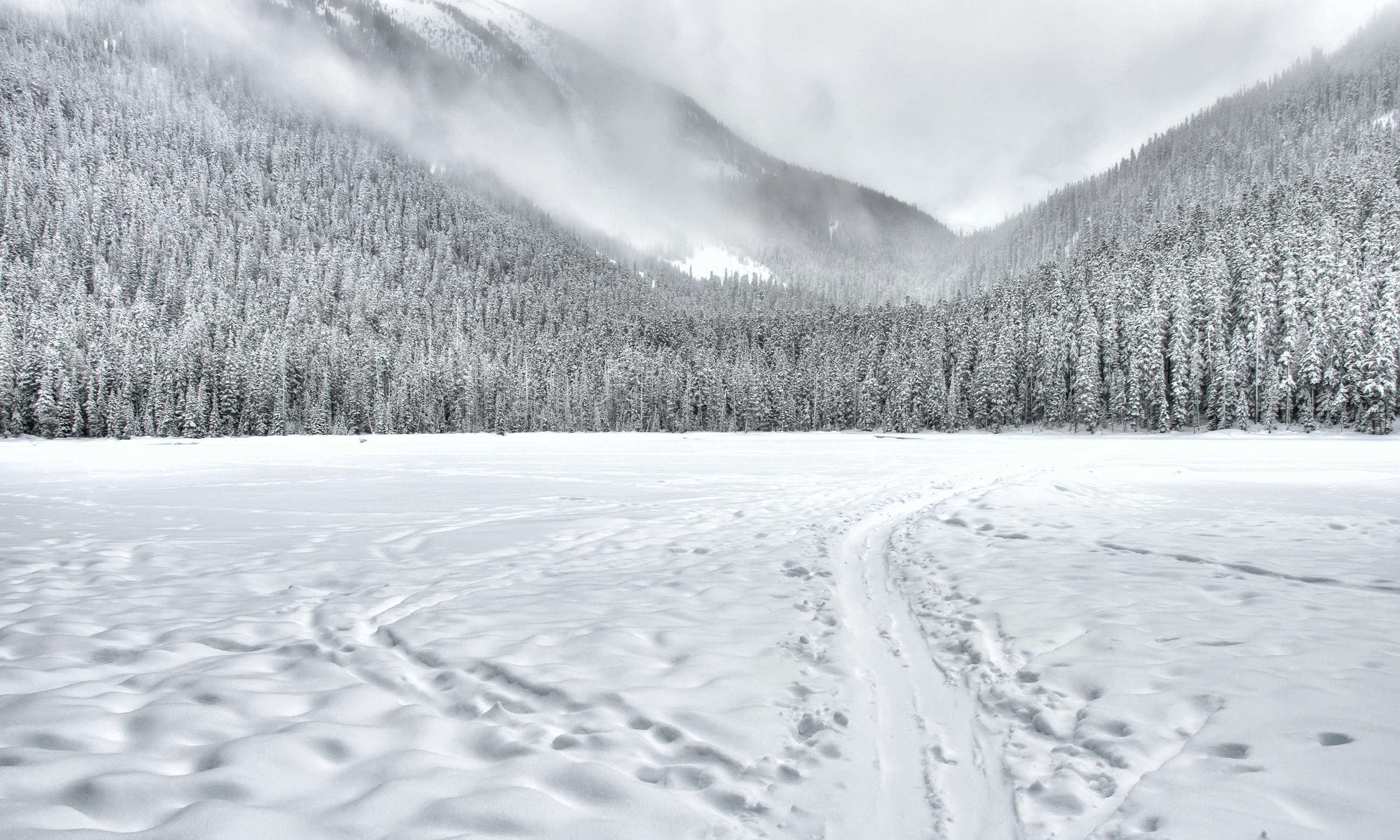 snow background